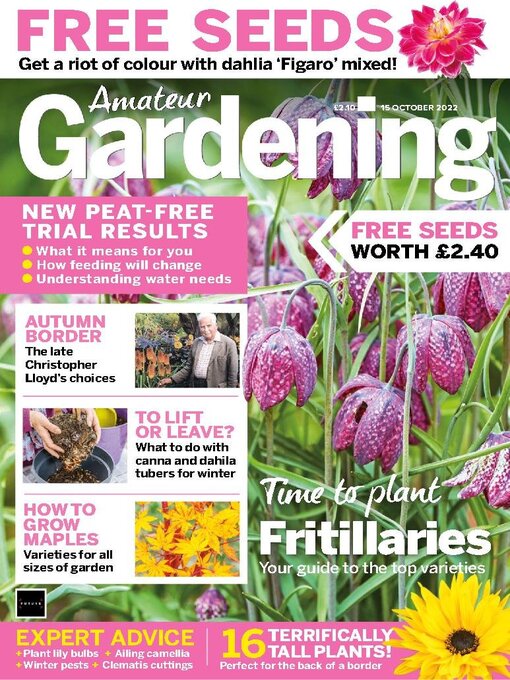 Title details for Amateur Gardening by Kelsey Publishing Ltd - Available